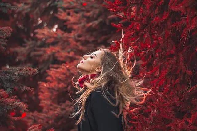 How to Choose the Perfect Modelling Niche for Your Career