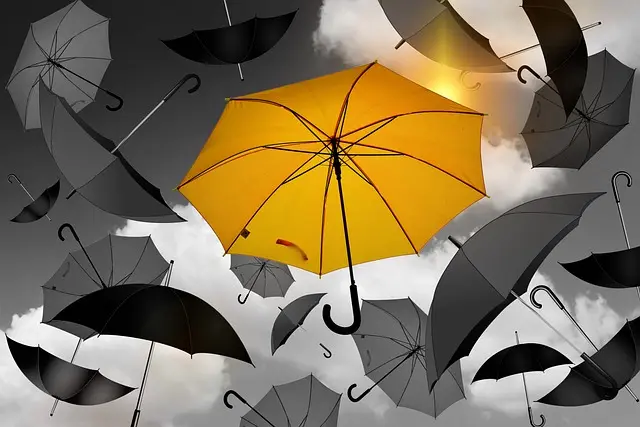 How to Develop Your Unique Modelling Style for Success