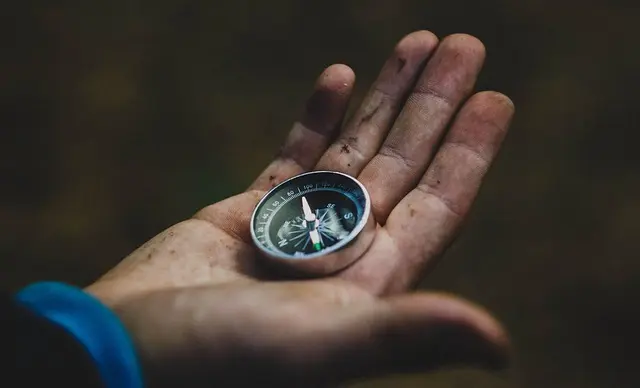 How to Choose the Right Modelling Niche for Your Career