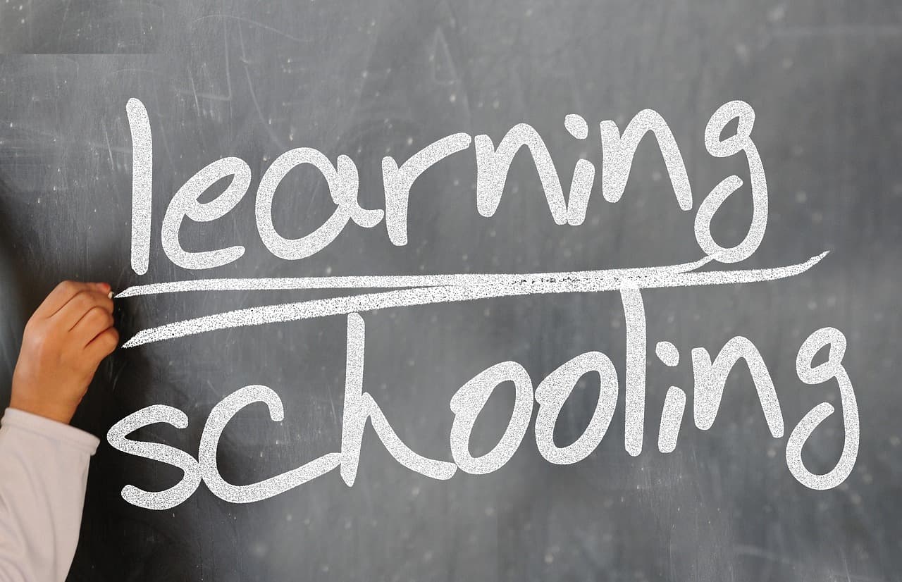 Understanding the Different Types of Modelling Careers